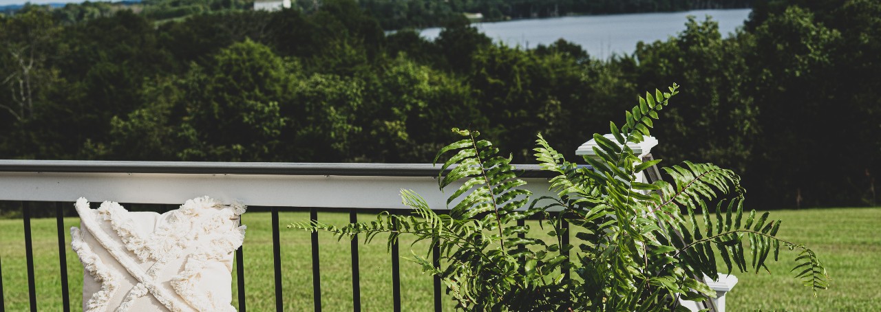 lake-view-with-fern-1280x454